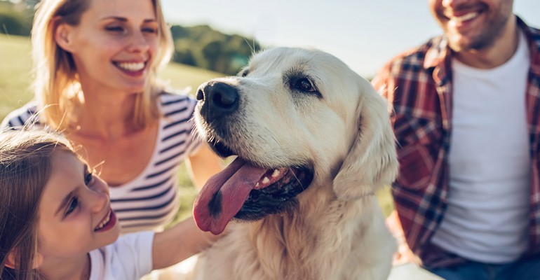 Familias con perros e hijos conviviendo