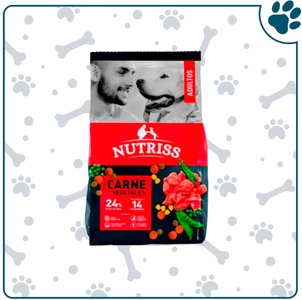 Nutriss Sabores Carne