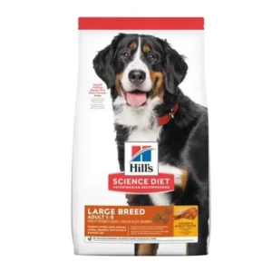 Adult Large Breed Chiken