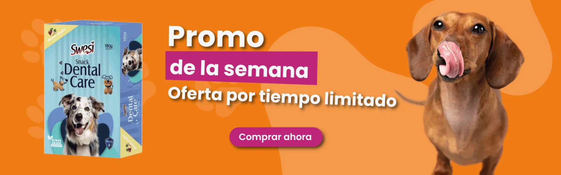 Dog House banner promo