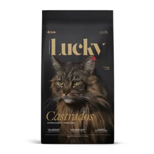 Lucky Cat - Castrado