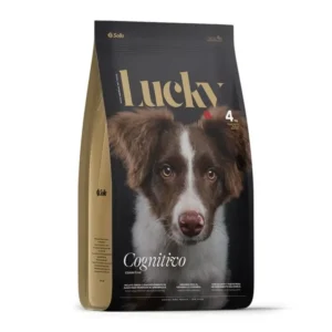 Lucky Dog - Cognitivo