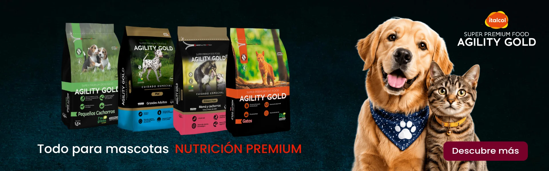 Agility Gold Agility Gold